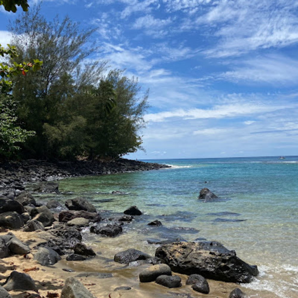 Meet your Posher, Arielle